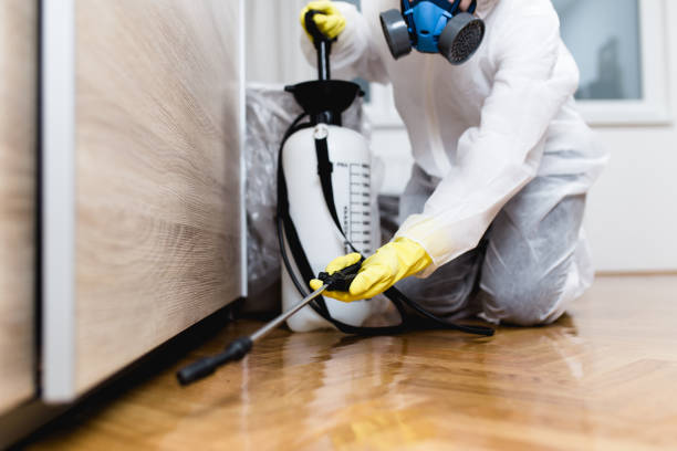 Best Affordable Pest Control Services  in Pembroke, GA