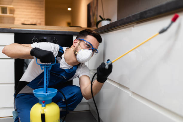 Best Best Pest Control Companies  in Pembroke, GA