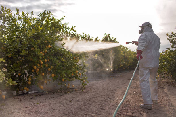 Best Pest Prevention Services  in Pembroke, GA